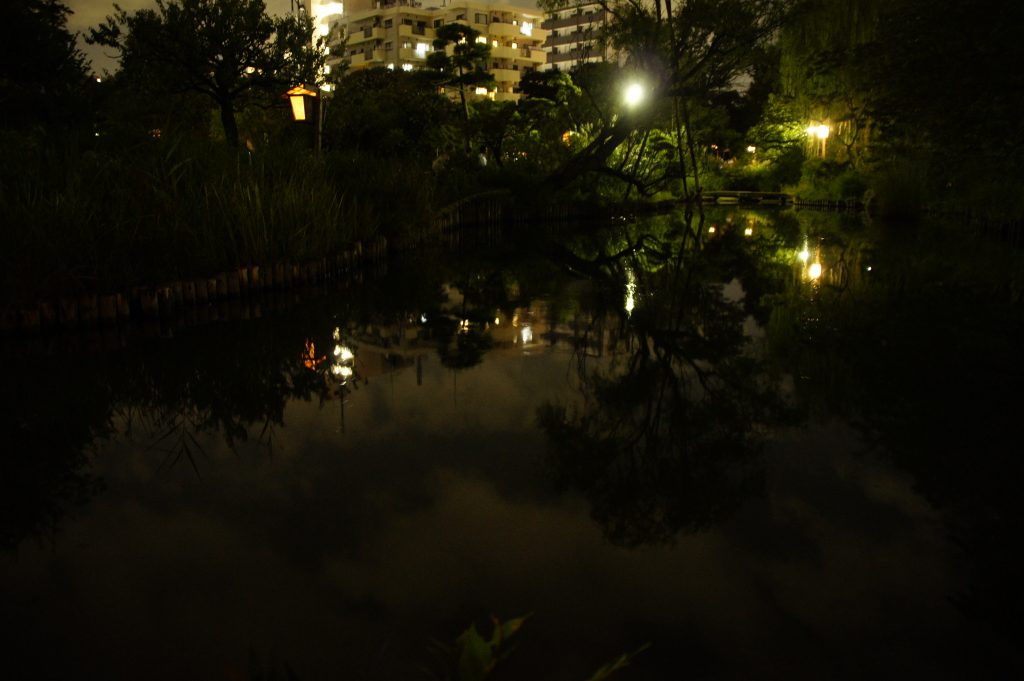 夜の池